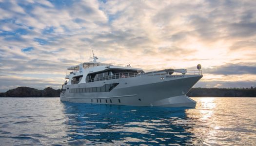 top 5 tribute galapagos - small ship cruise