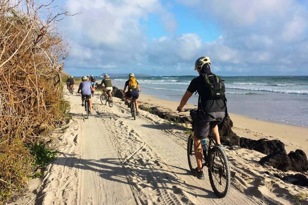 group of cyclists riding a sandy coastal trail beside the ocean in the galápagos