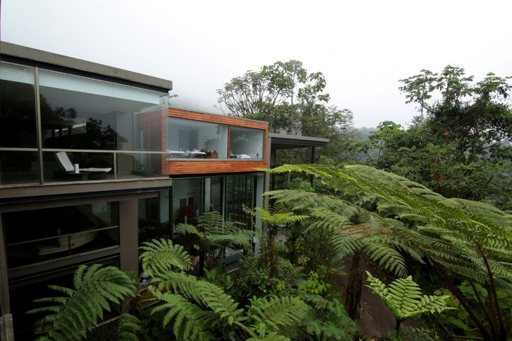 Modern glass structure enveloped by lush giant ferns and cloud forest trees at Mashpi Lodge Ecuador luxury eco-resort