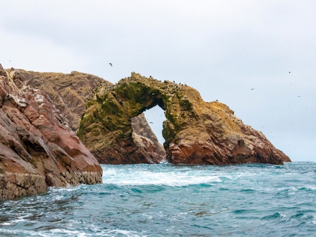 paracas national park - camping