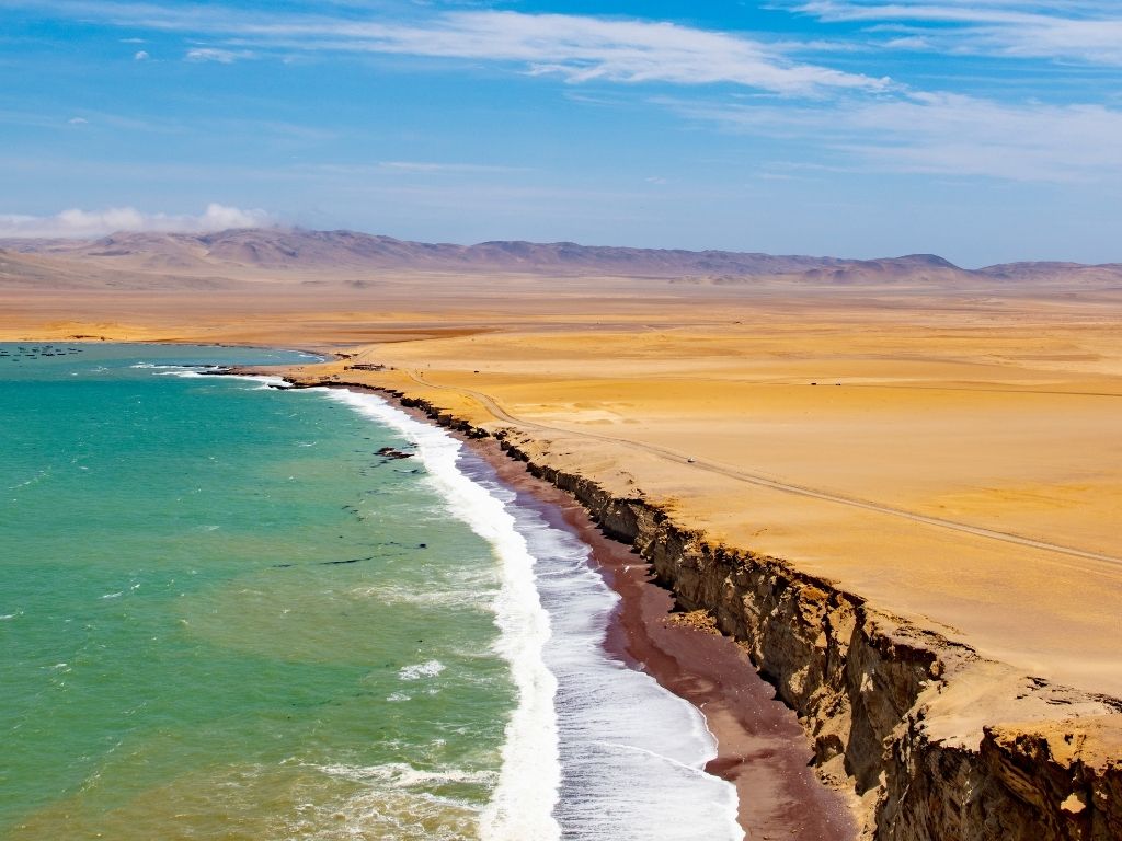 paracas national reserve peru