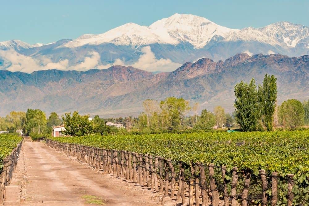 Mendoza argentina mendoza argentina