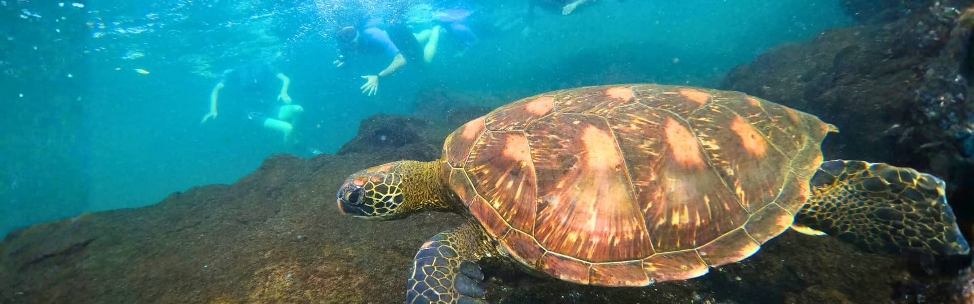 4-Day Galapagos Complete Island Hopping