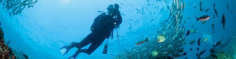 diver photographs a school of fish during a galapagos padi course surrounded by vibrant marine life