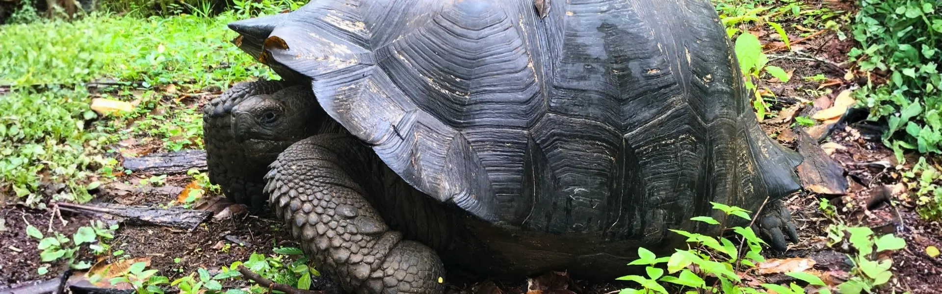 7 Day Galapagos Island Hopping Classic
