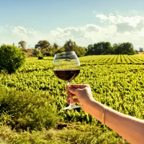a visitor swirls a glass of crisp white wine while overlooking rows of high-altitude vines that stretch toward the jagged, terracotta-colored mountains of the calchaquí valleys during an argentina wine tasting in cafayate.