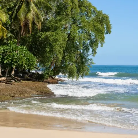 cahuita-national-park Rebecca Adventure Travel Gentle ocean waves washing onto a sandy beach framed by lush tropical trees at Cahuita National Park in Costa Rica