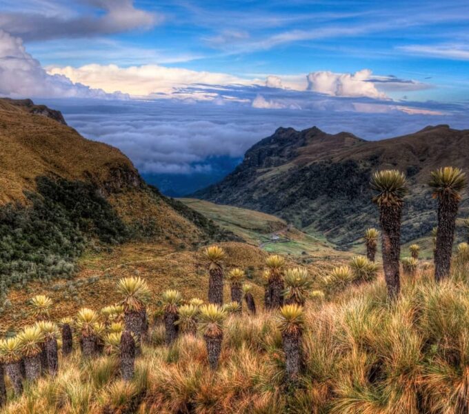 majestic andes-colombia vacation