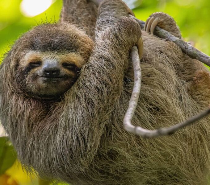 ecotourism in costa rica