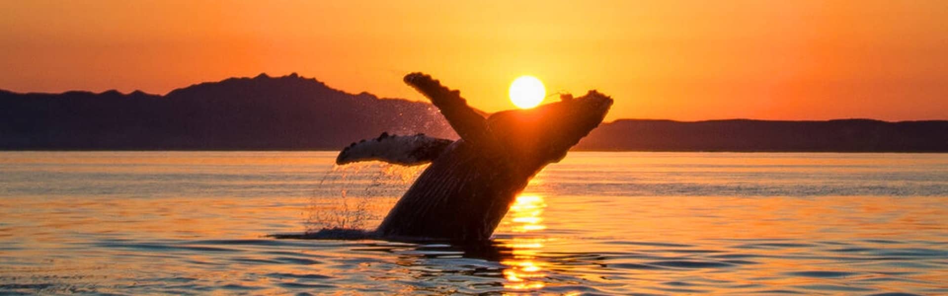 19-Day Relax Ecuador