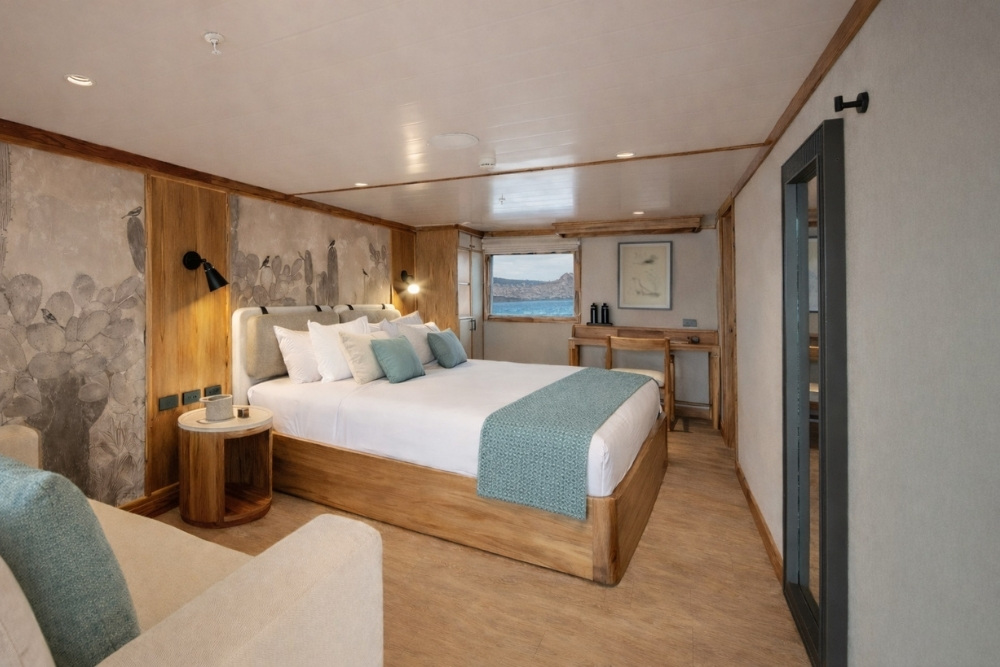 evolution cruise cabin