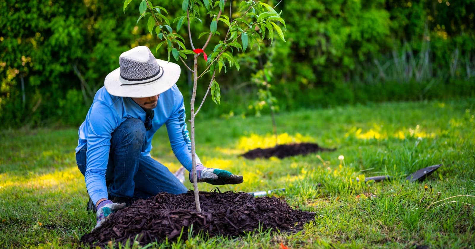 steps to a sustainable travel industry