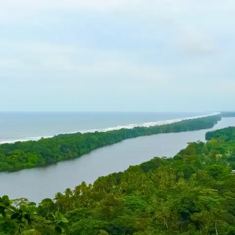 Tortuguero-National-Park Rebecca Adventure Travel Aerial view of winding river canals and lush rainforest bordering the ocean in Tortuguero National Park Costa Rica