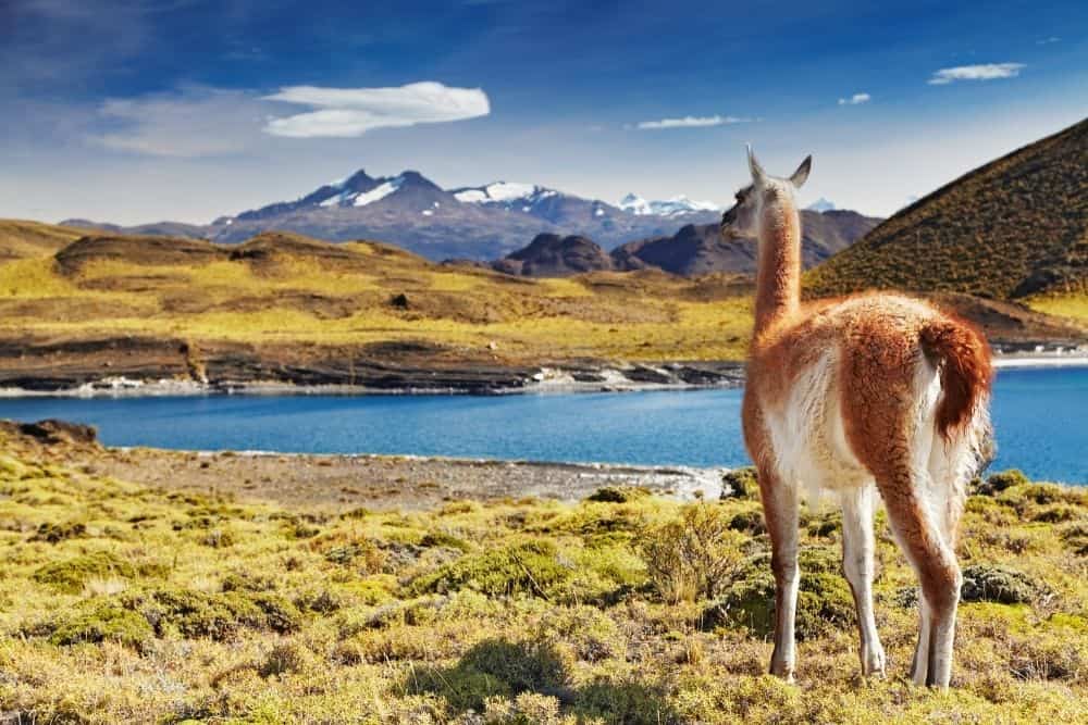 chilean patagonia