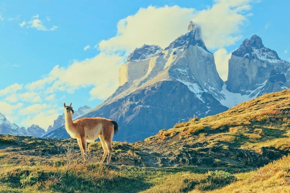 chilean patagonia