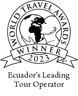 Travelers' Choice Badge