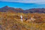6-day galapagos diving & hiking
