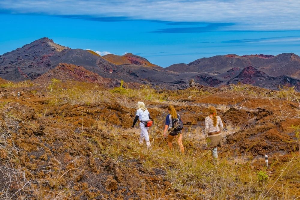 Hikers trekking across volcanic terrain on Isabela Island during a guided sierra negra volcano hike