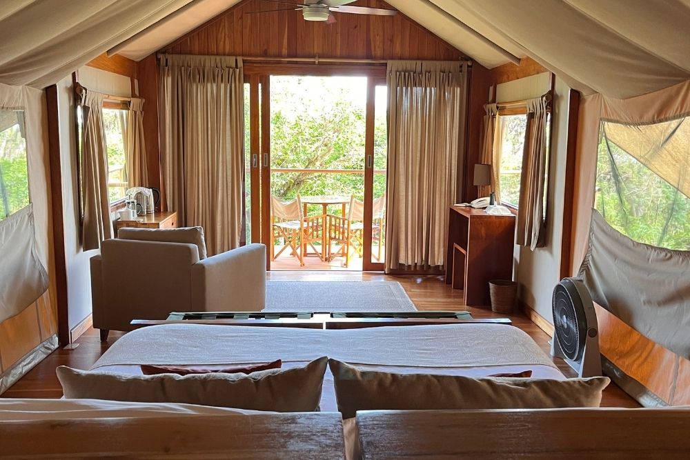 interior tented suite at galapagos safari camp, blending comfort and nature among galapagos islands luxury resorts.