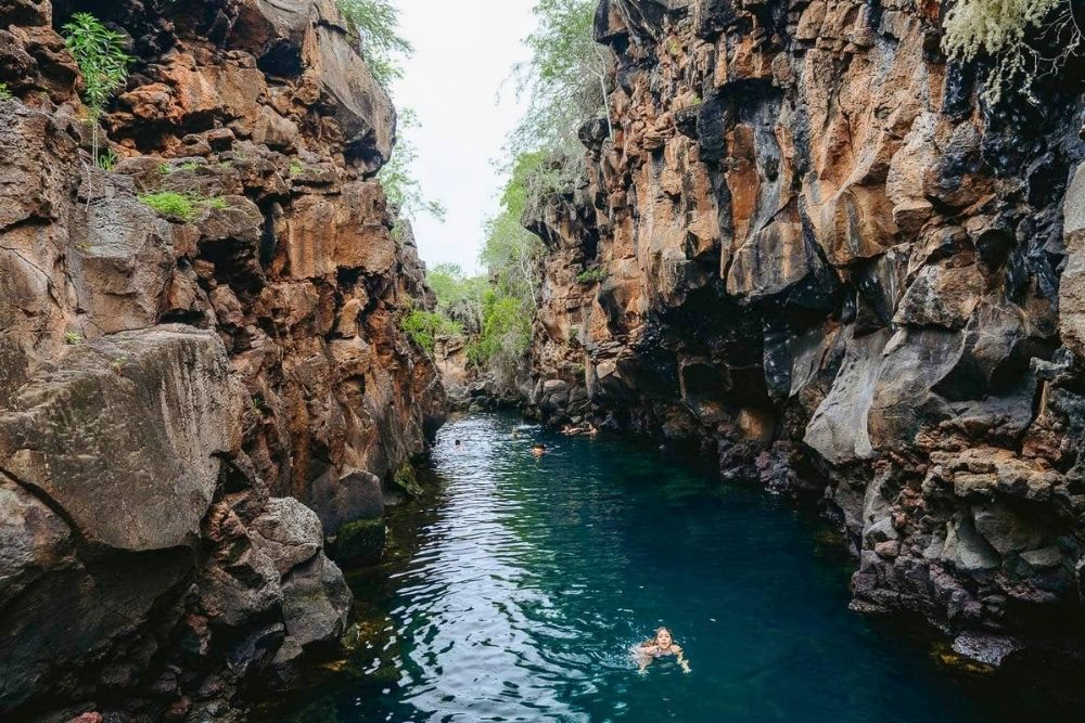 Travelers swimming in the clear emerald canyon waters of Las Grietas during a family tour Ecuador Galapagos trip