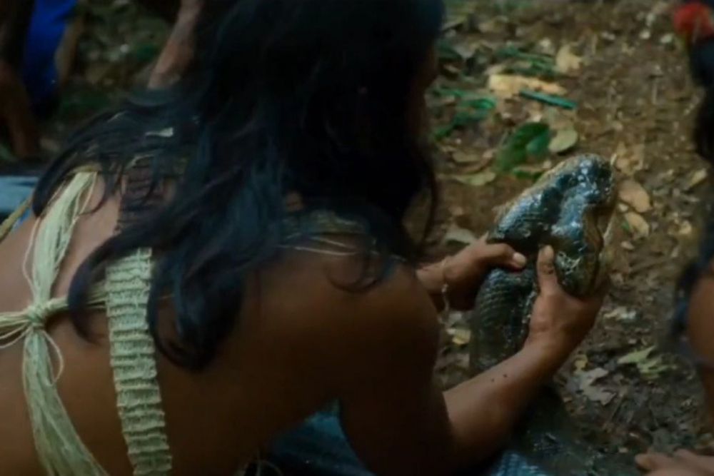 giant green anaconda