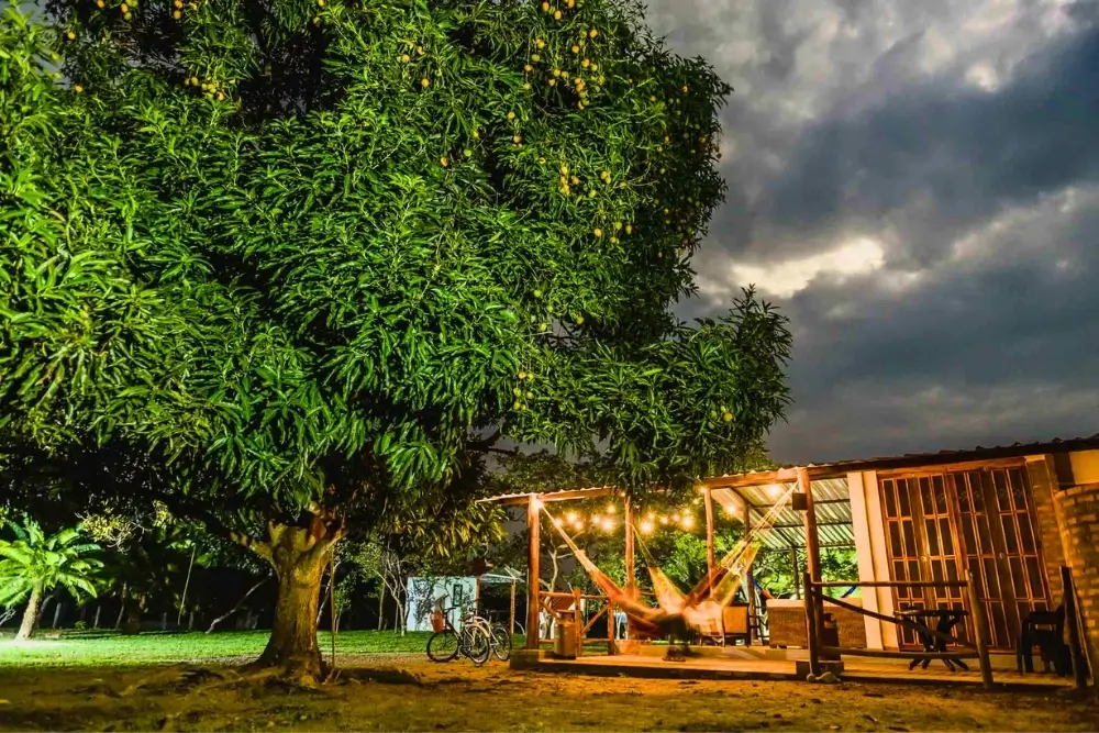 Night view of the Hato in Guanapalo