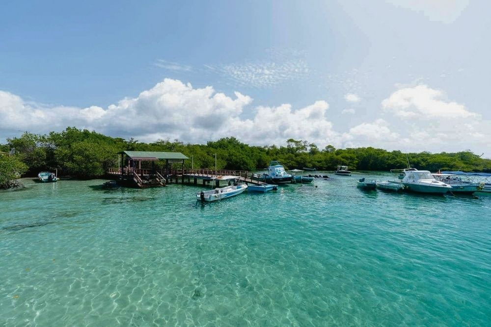 Wooden dock and small boats anchored in clear turquoise bay waters at Concha Perla during an Ecuador Galapagos Itinerary