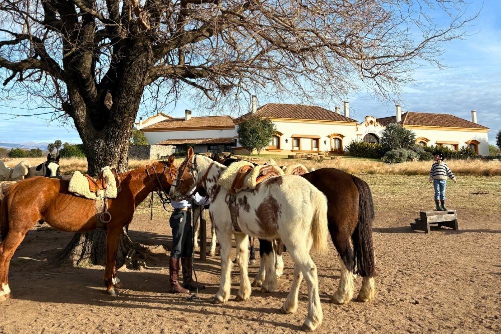 child watching horses near manor house at a grand hacienda in cordoba argentina