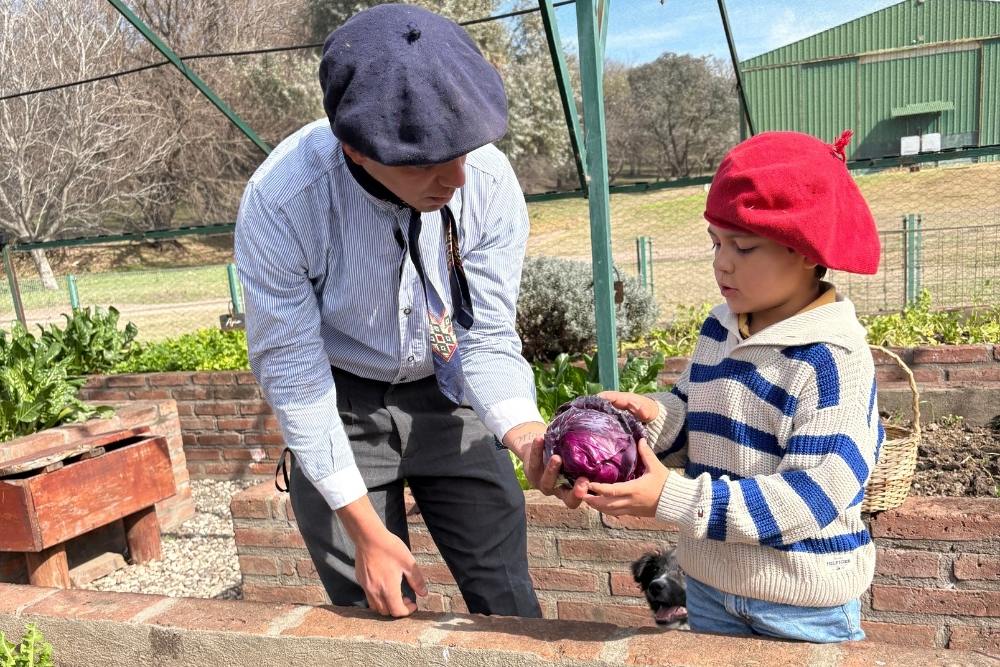 child picks vegetables in a grand hacienda's garden at estancia el colibri in cordoba argentina