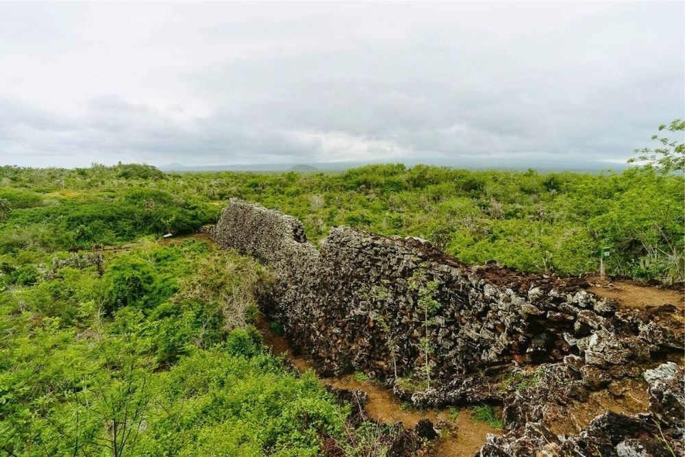 Historic volcanic stone Wall of Tears standing amidst dense green vegetation on an Ecuador and Galapagos Itinerary trip