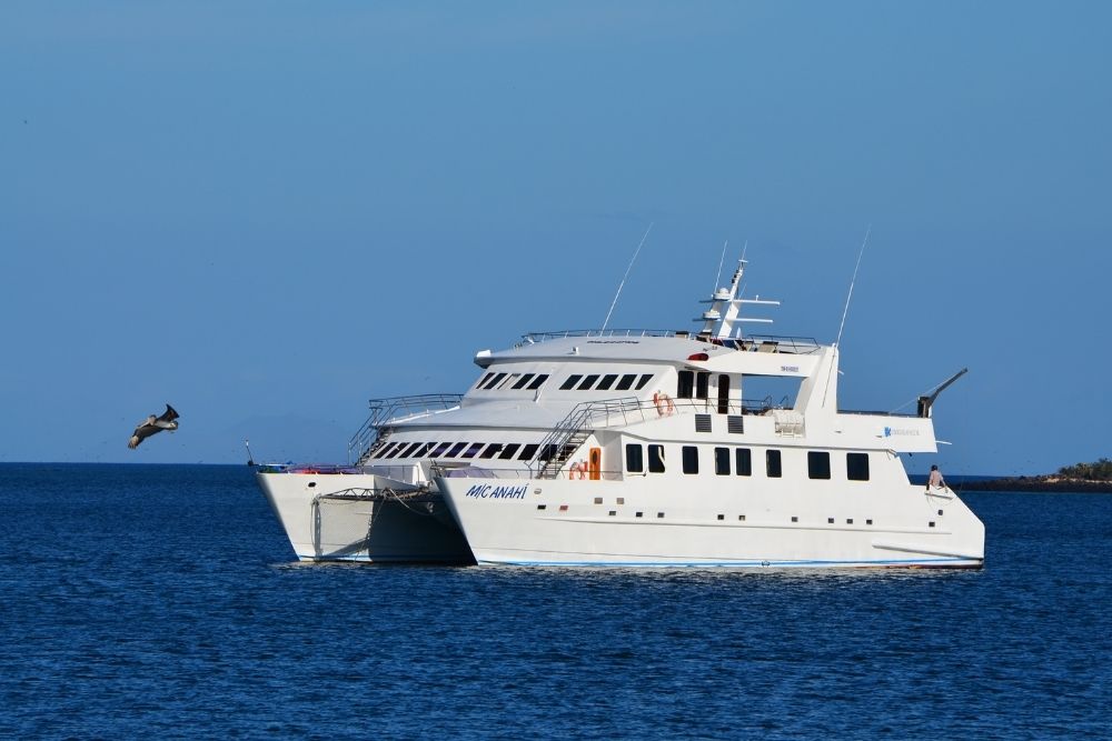 anahi catamaran sailing in open water near the galápagos