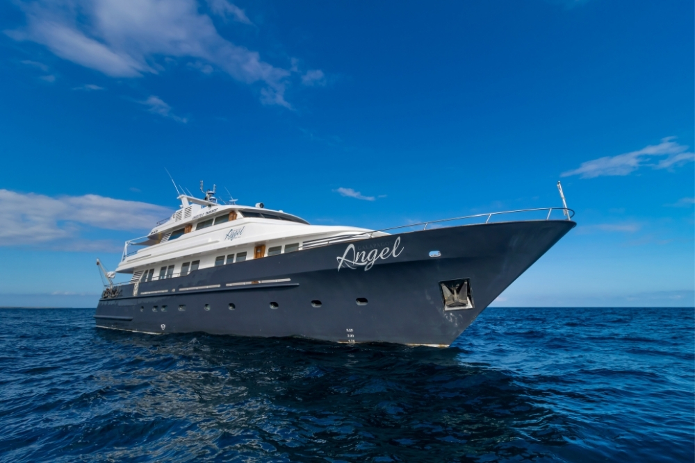 galapagos angel yacht at open sea near the galápagos islands
