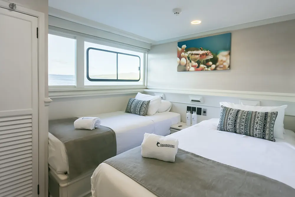 luxury master cabin at the galapagos sky yacht