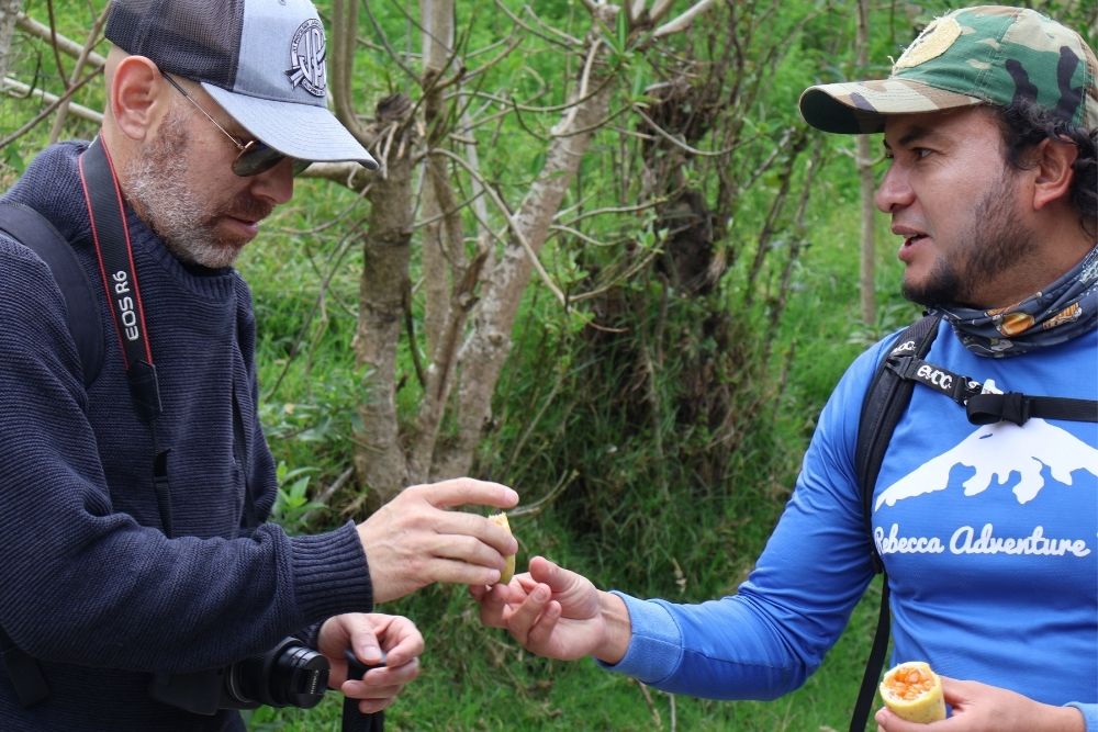 a local guide explaining taxo fruit to a hiker holding a piece of passion fruit on a scenic andean hiking tour